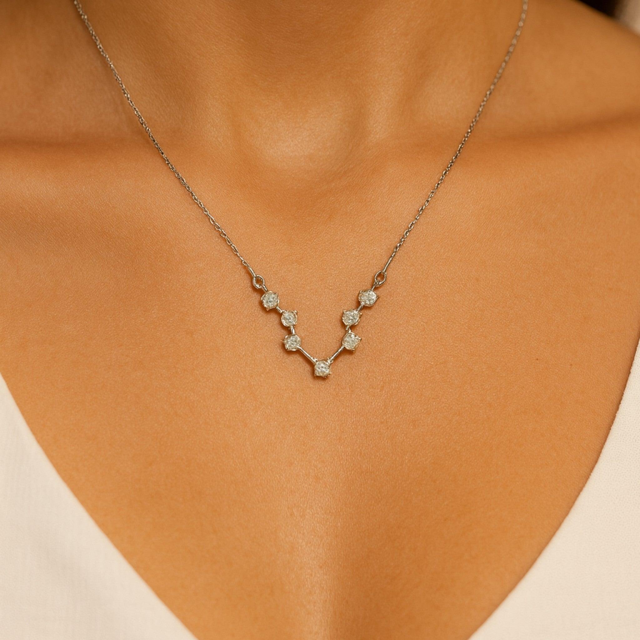 Aquarius Air Sign Sterling Necklace