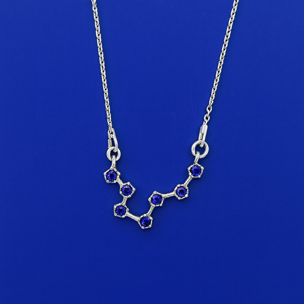 Pisces Water Sign Sterling Necklace