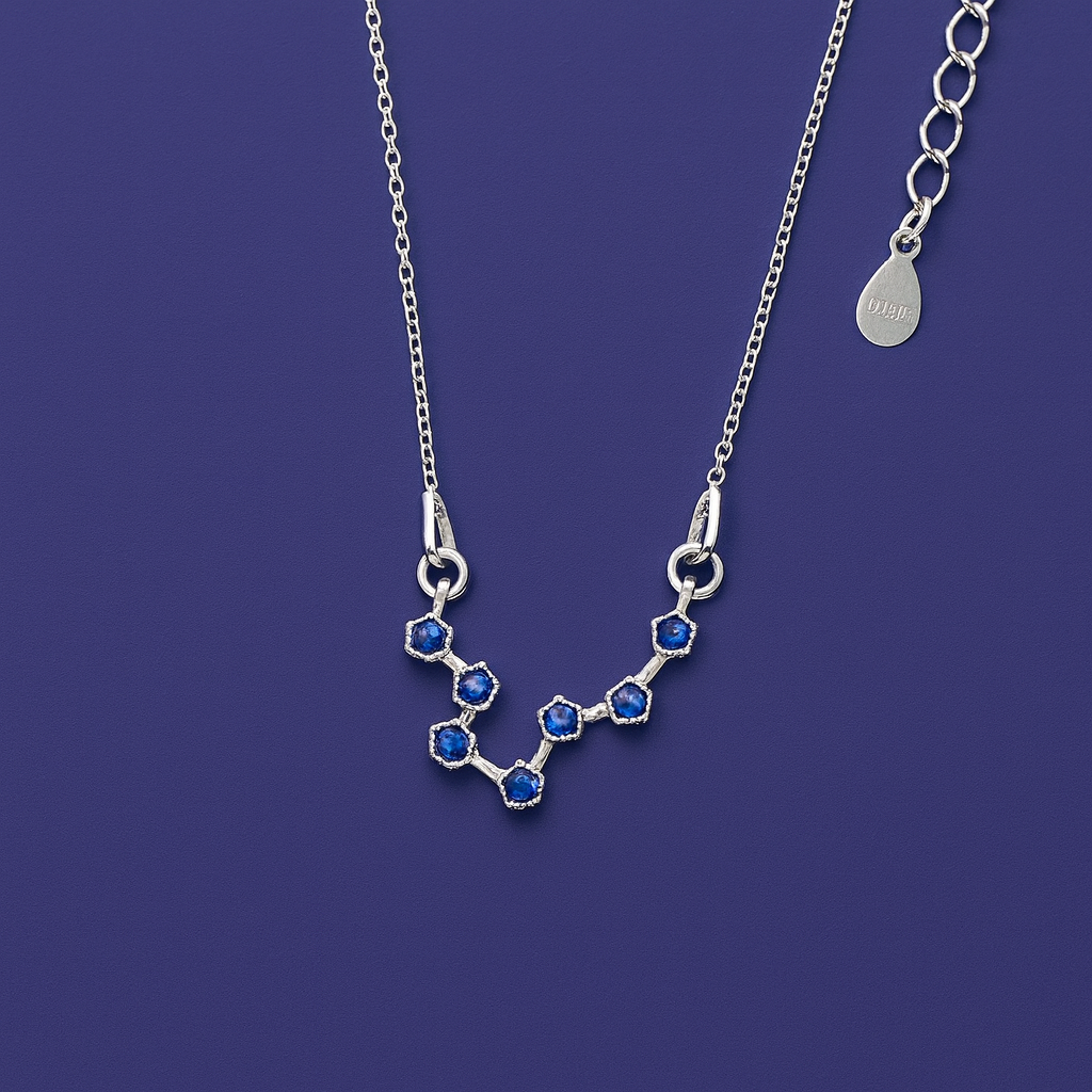 Pisces Water Sign Sterling Necklace