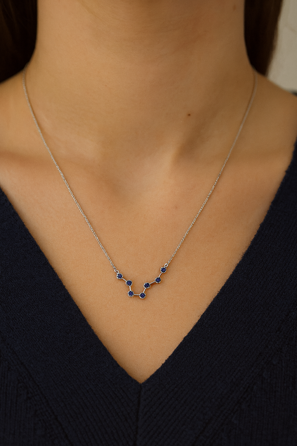 Pisces Water Sign Sterling Necklace